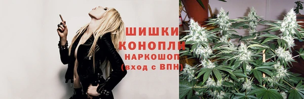 не бодяженный Каменск-Шахтинский