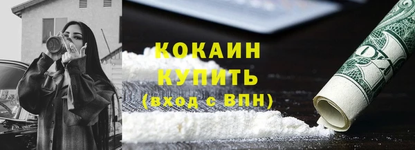 прущие крисы Каменка