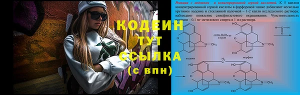 прущие крисы Каменка