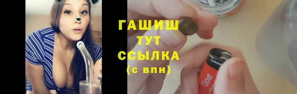 стафф Каменногорск