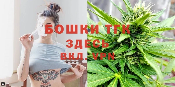 стафф Каменногорск
