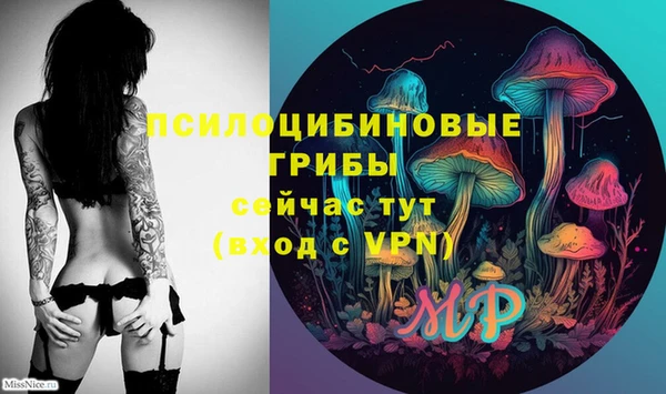 не бодяженный Каменск-Шахтинский