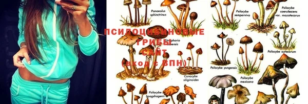 прущие крисы Каменка
