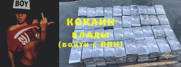 прущие крисы Каменка