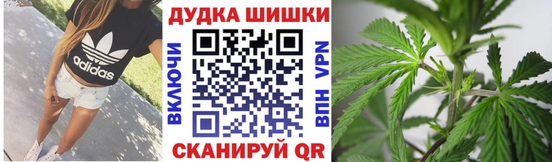 Купить где  Буйнакск  Бошки Шишки White Widow 